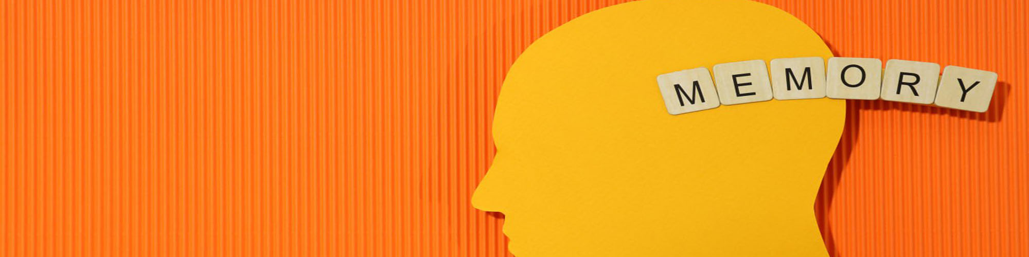 The Best Ways to Learn English Grammar Without Memorization